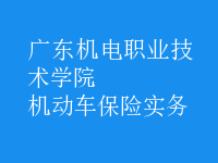 機動車保險實務(wù)