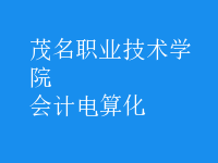 會計電算化