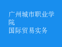 國際貿(mào)易實務(wù)