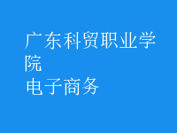 電子商務(wù)