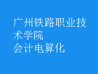 會計電算化