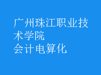 會計電算化