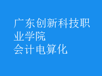 會計電算化
