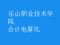 會(huì)計(jì)電算化