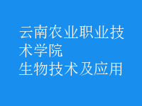 生物技術(shù)及應(yīng)用