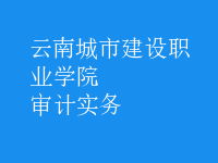 審計(jì)實(shí)務(wù)