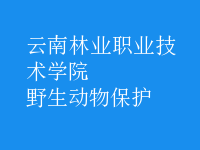 野生動物保護