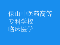 臨床醫(yī)學(xué)