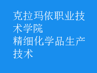 精細化學(xué)品生產(chǎn)技術(shù)