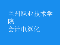 會計(jì)電算化