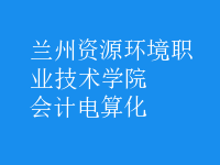 會計(jì)電算化