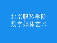 數(shù)字媒體藝術