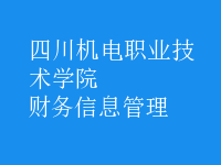 財(cái)務(wù)信息管理