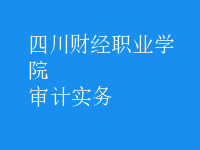 審計(jì)實(shí)務(wù)