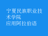 應用阿拉伯語