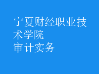 審計(jì)實(shí)務(wù)