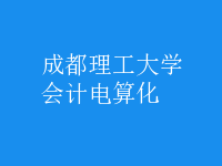 會(huì)計(jì)電算化