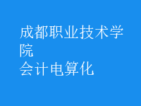 會(huì)計(jì)電算化
