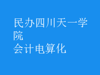 會(huì)計(jì)電算化