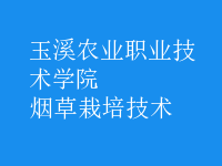 煙草栽培技術