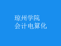 會(huì)計(jì)電算化