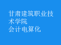 會計(jì)電算化