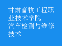 汽車檢測(cè)與維修技術(shù)
