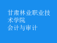 會計(jì)與審計(jì)