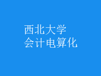 會計電算化