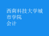 會(huì)計(jì)