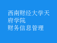 財(cái)務(wù)信息管理