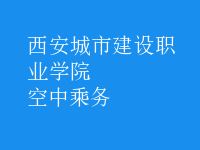 空中乘務