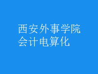 會計電算化