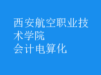 會計電算化