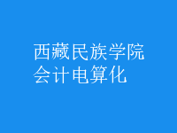 會計電算化