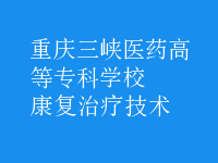 康復治療技術(shù)