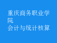 會計(jì)與統(tǒng)計(jì)核算