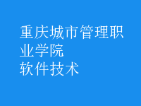 軟件技術(shù)