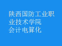 會計電算化