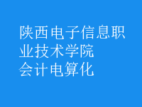 會計電算化
