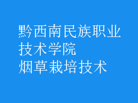 煙草栽培技術