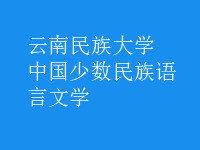 中國少數(shù)民族語言文學(xué)