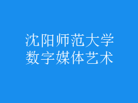數(shù)字媒體藝術