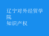 知識產(chǎn)權(quán)