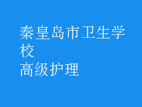 高級(jí)護(hù)理
