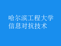 信息對(duì)抗技術(shù)