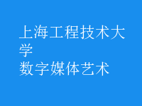 數(shù)字媒體藝術