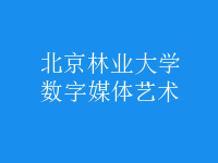 數(shù)字媒體藝術